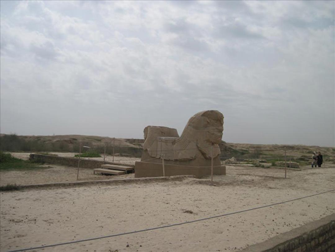 شوش
