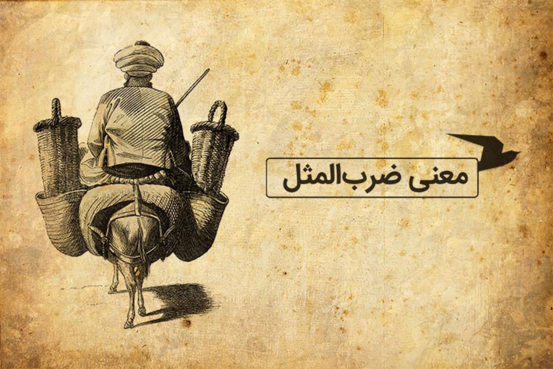 مارک دی سورو ‏