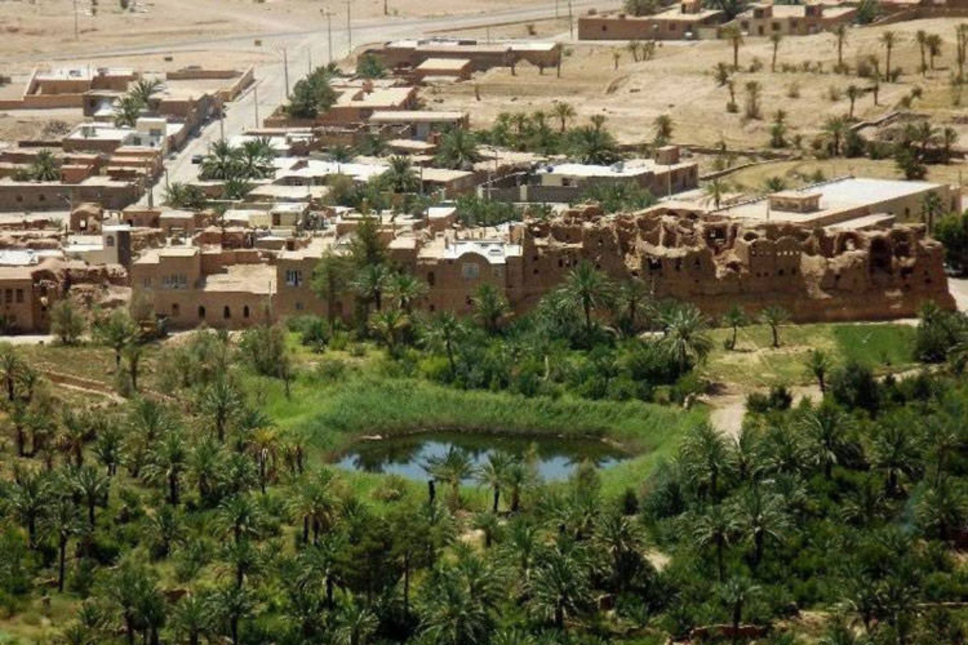  Desert Oases