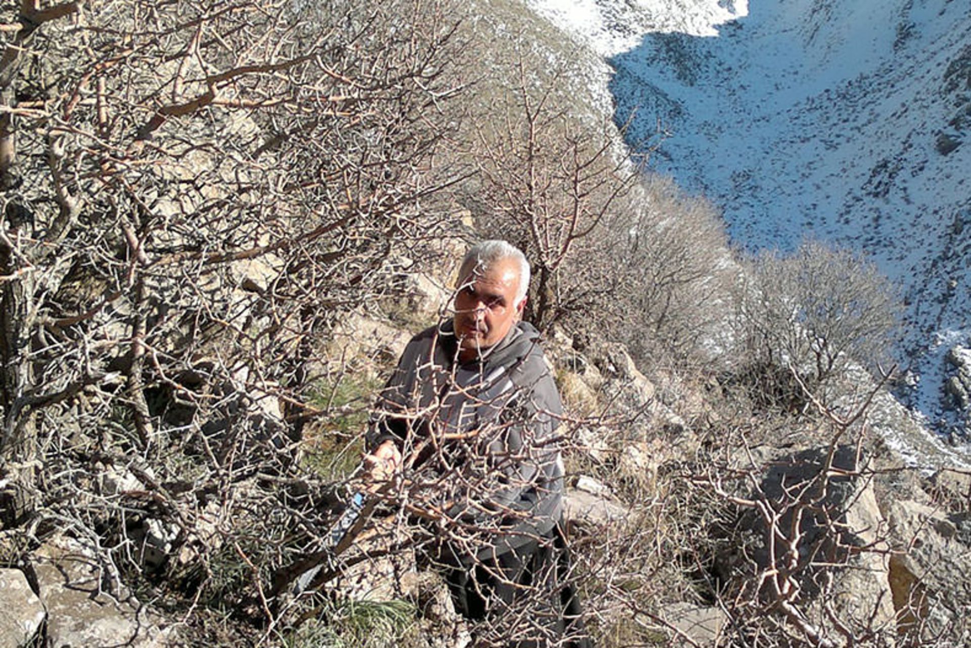 توزیع برف رایگان