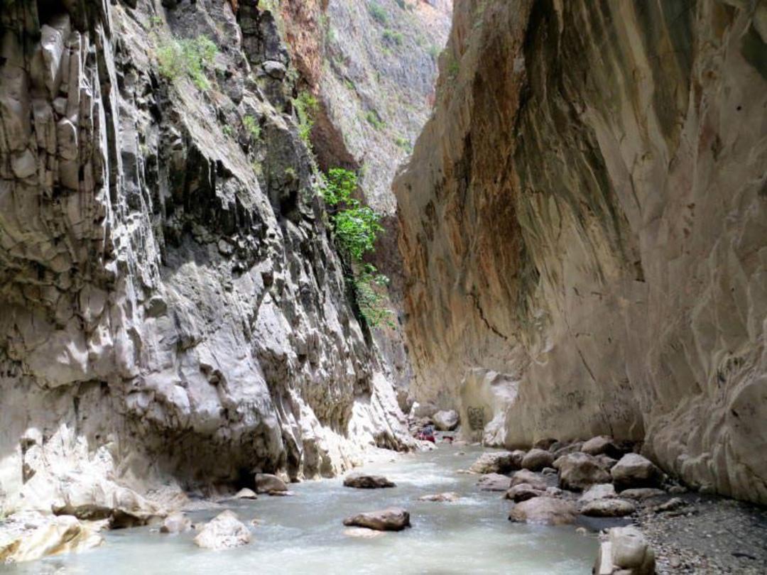 سایلینکت ترکیه