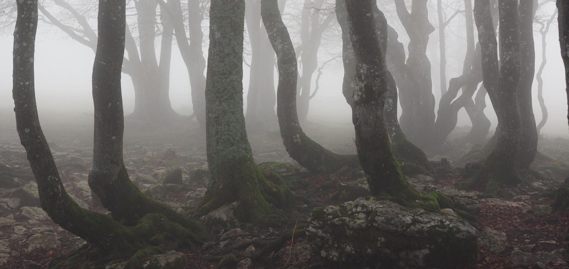 creepy areas around world