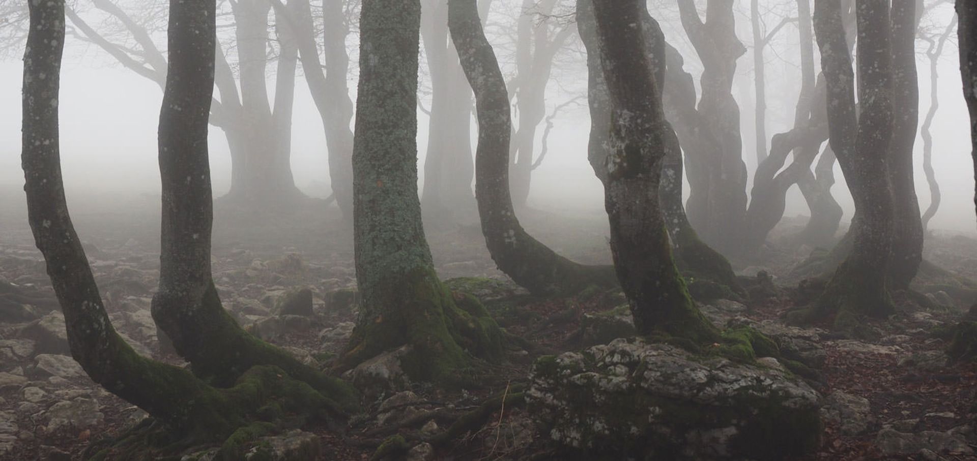 creepy areas around world