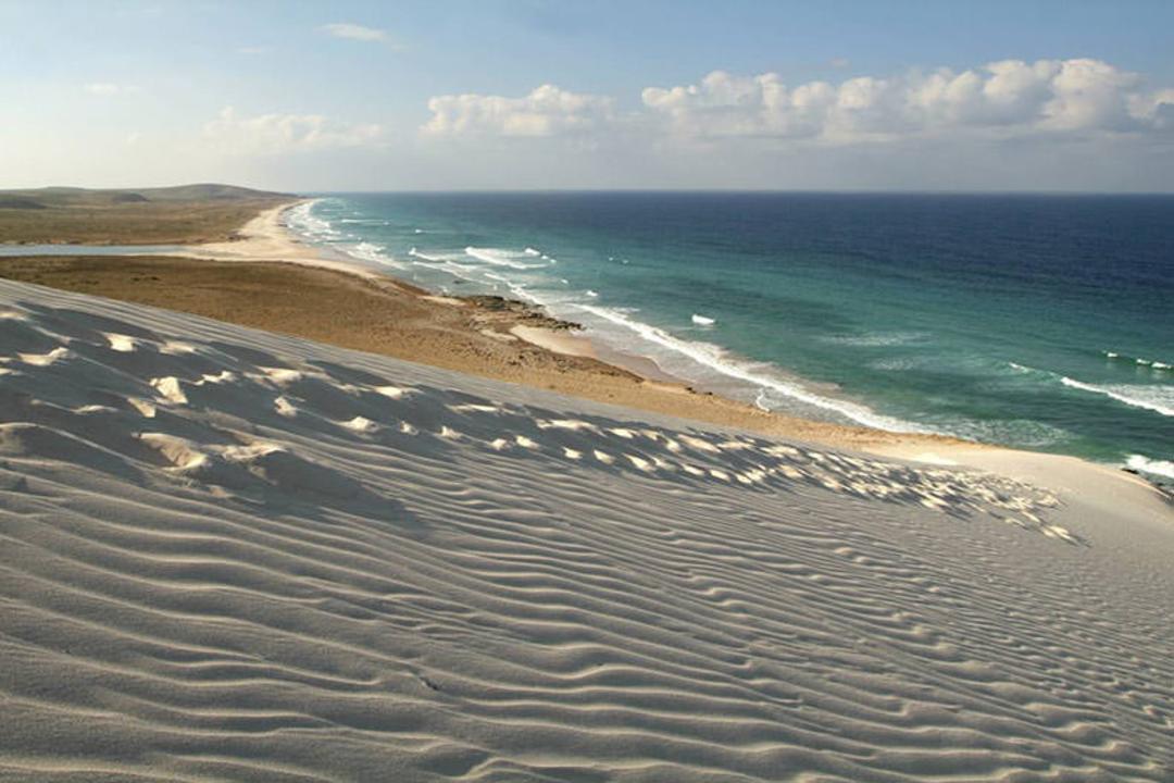 سوکوترا