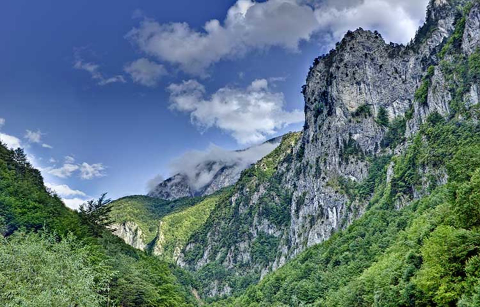کوه‌ها روگووا