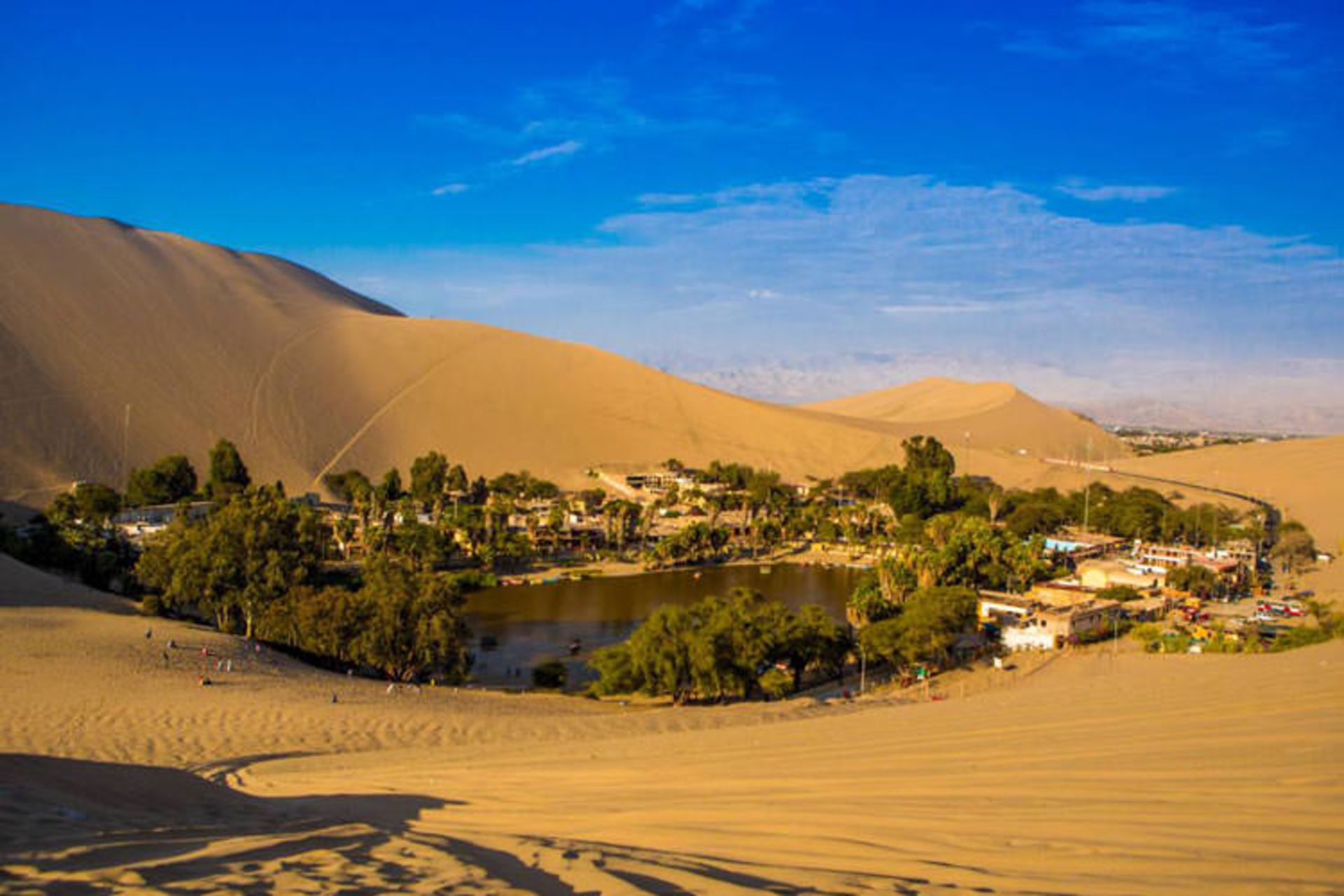   Desert Oases