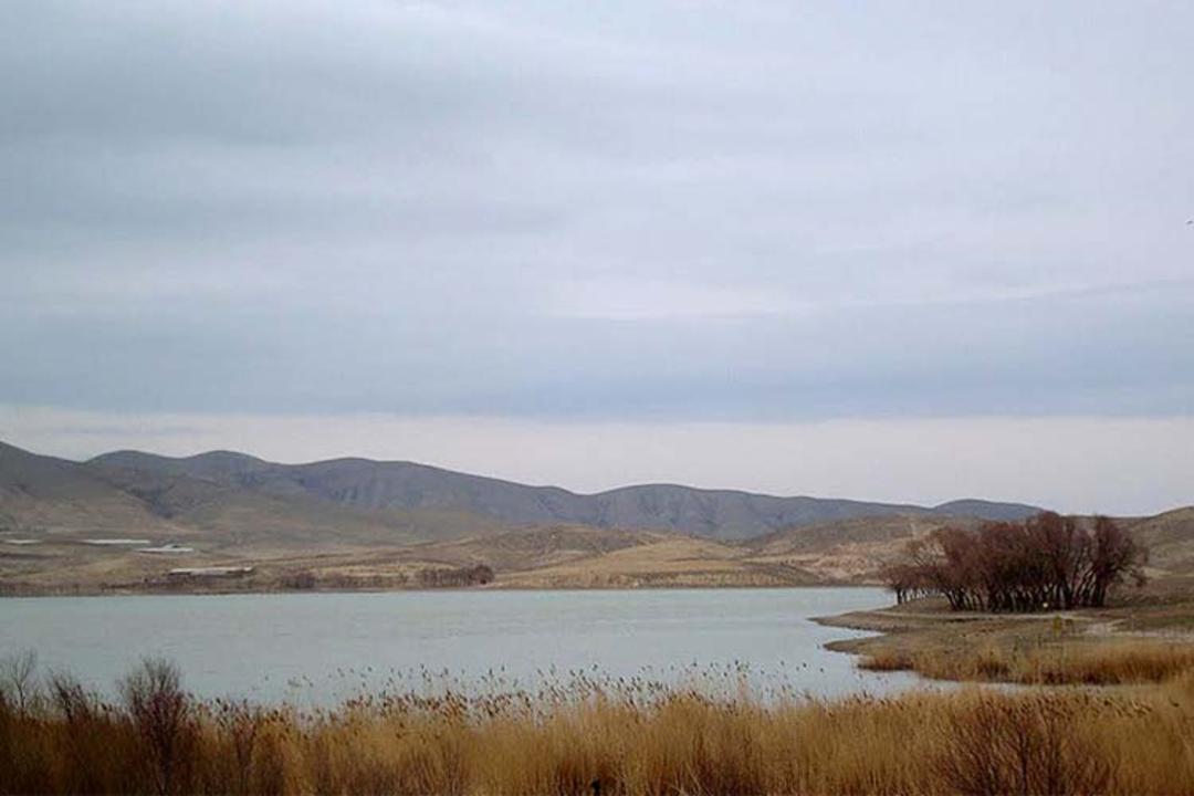 نقاشی طبیعت در تالاب قوری گل