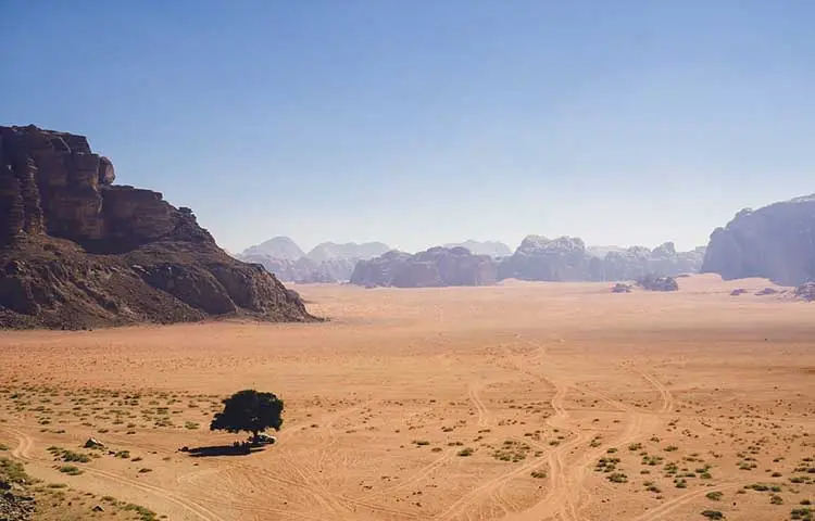 دانا بیوسفر