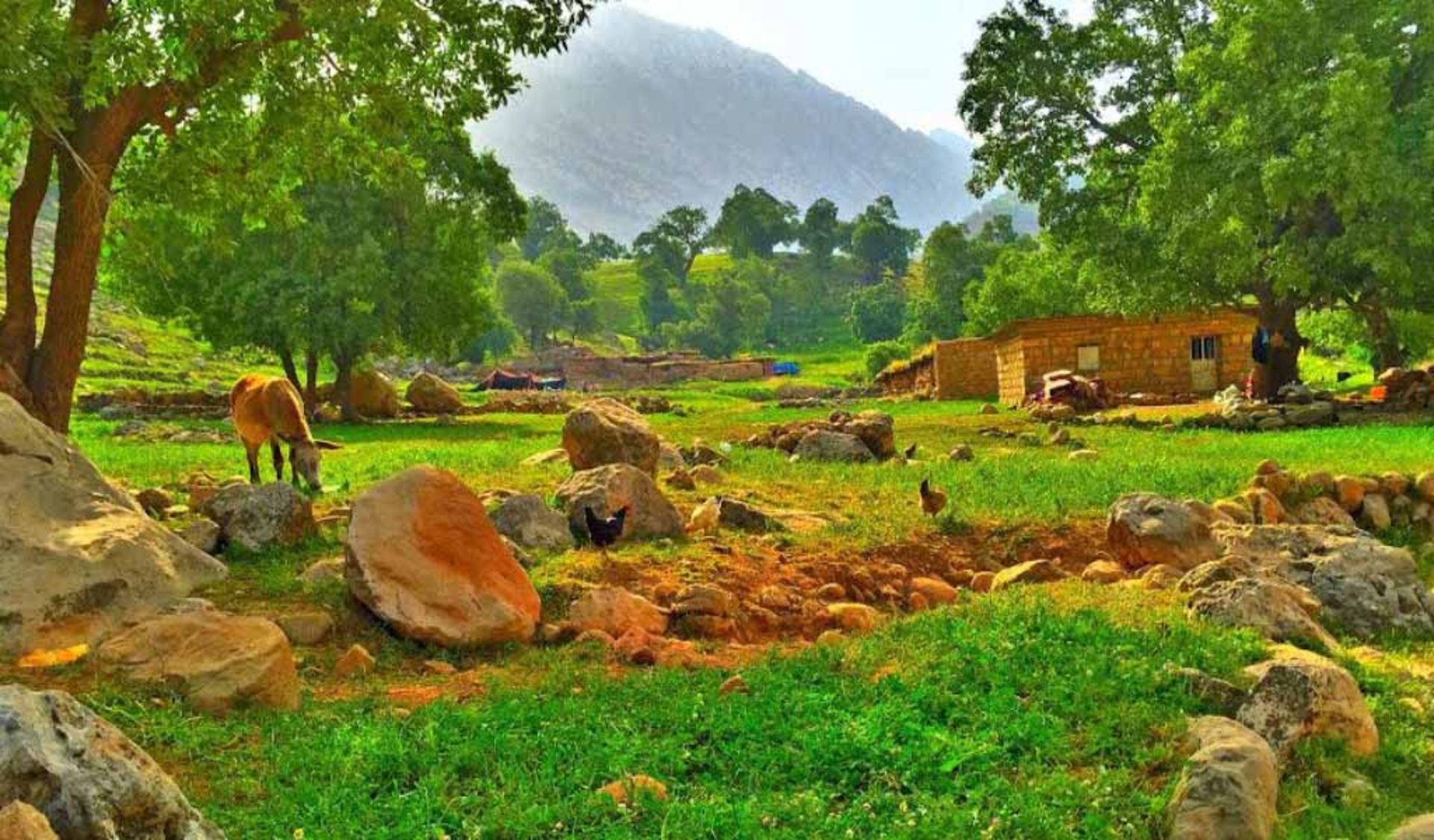 عکاسباشی