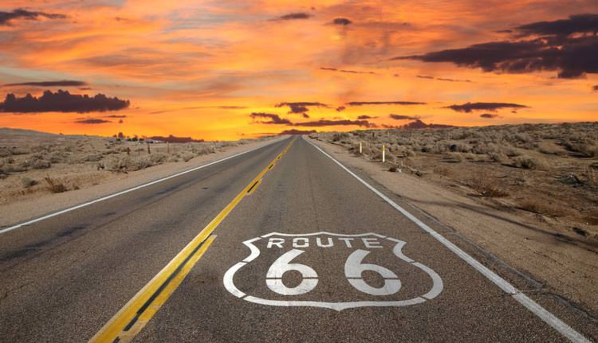 66