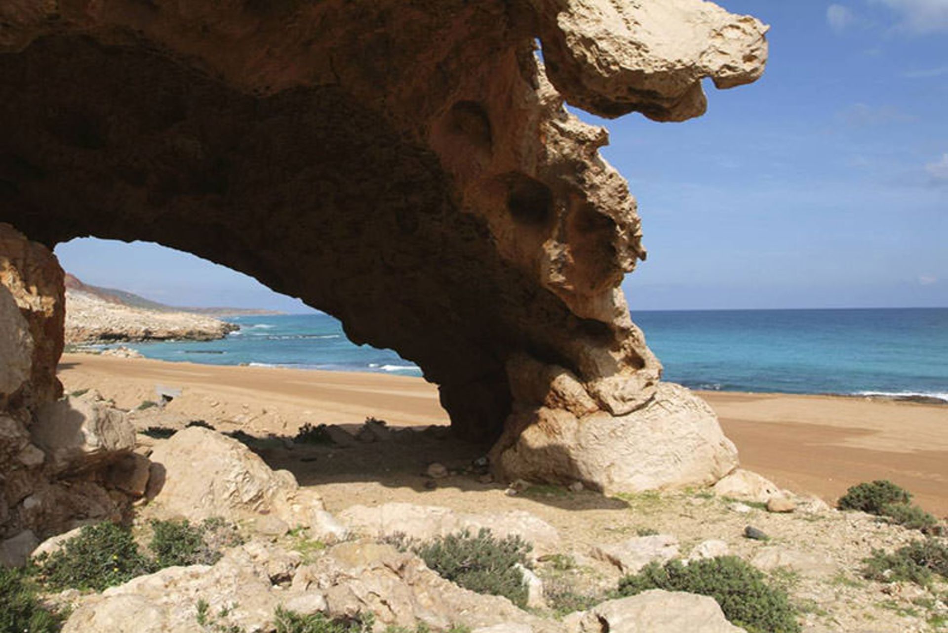 جزیره سوکوترا