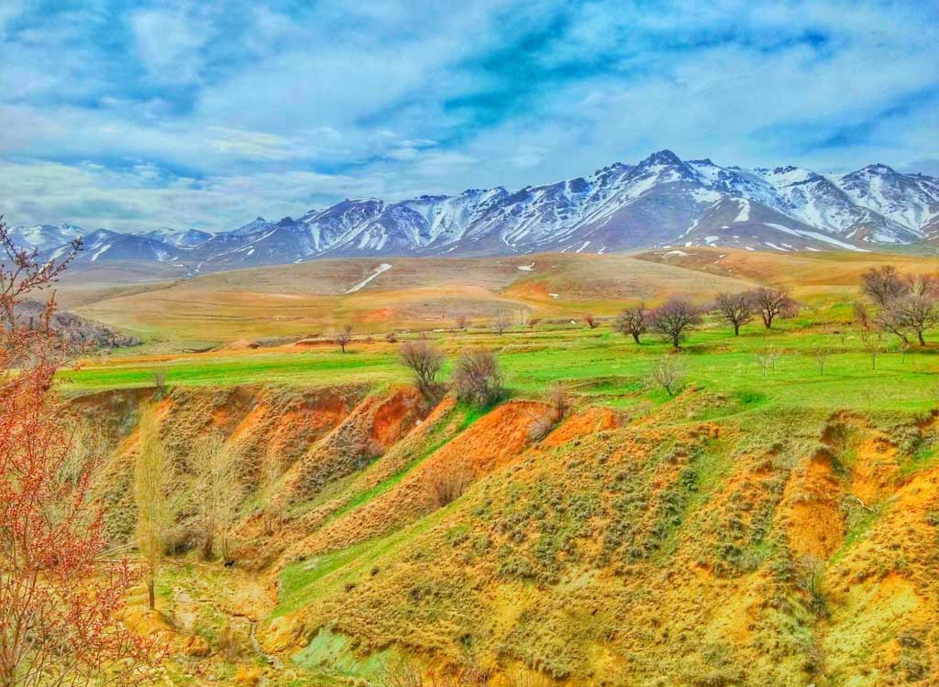 عکاسباشی