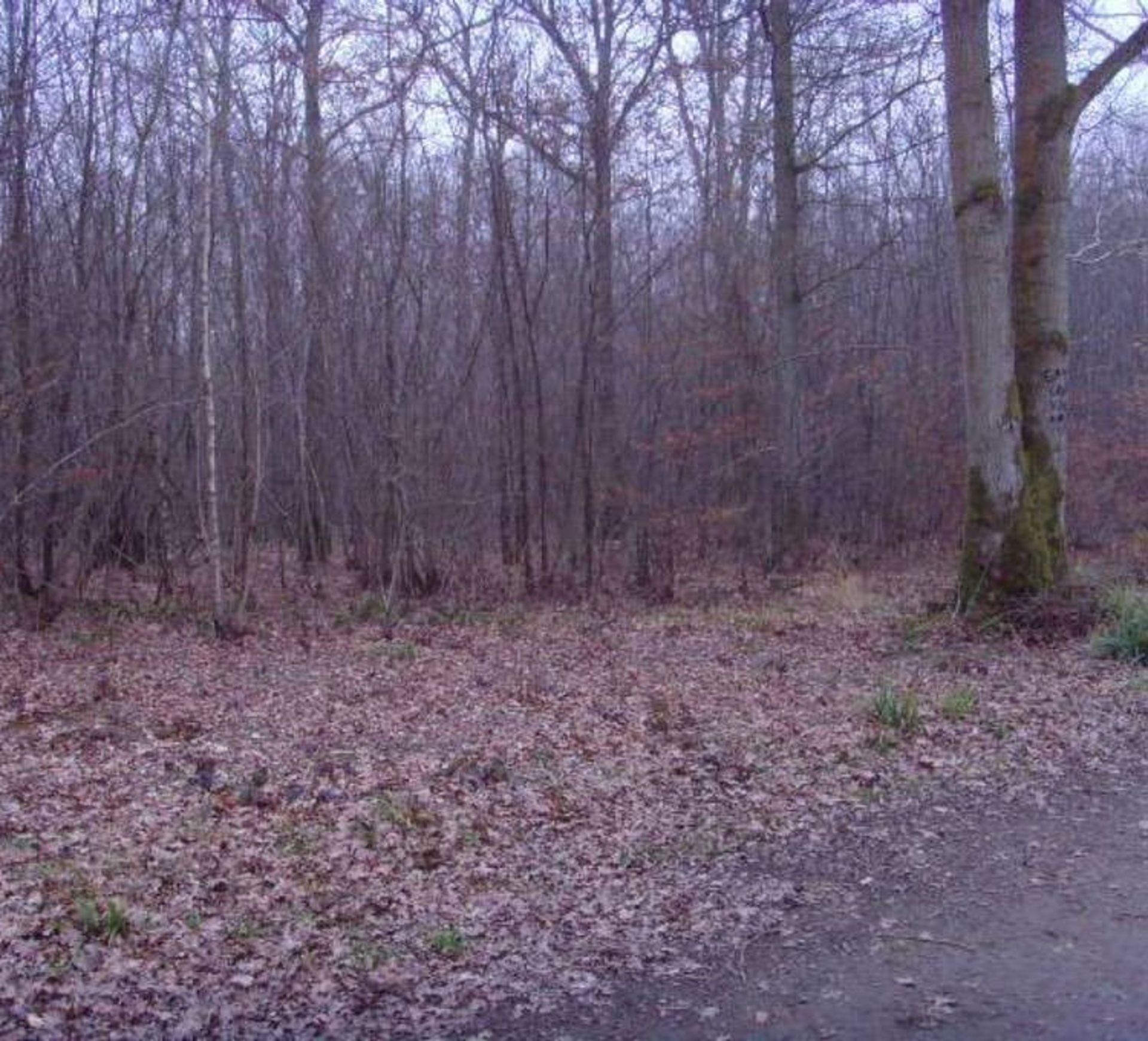 creepy areas around world