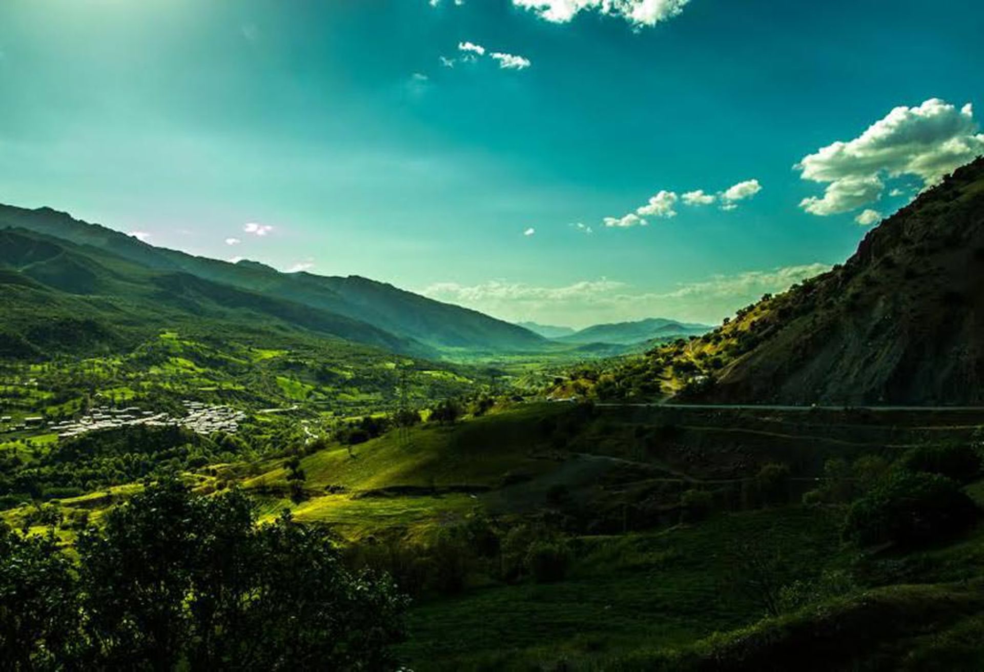 عکاسباشی