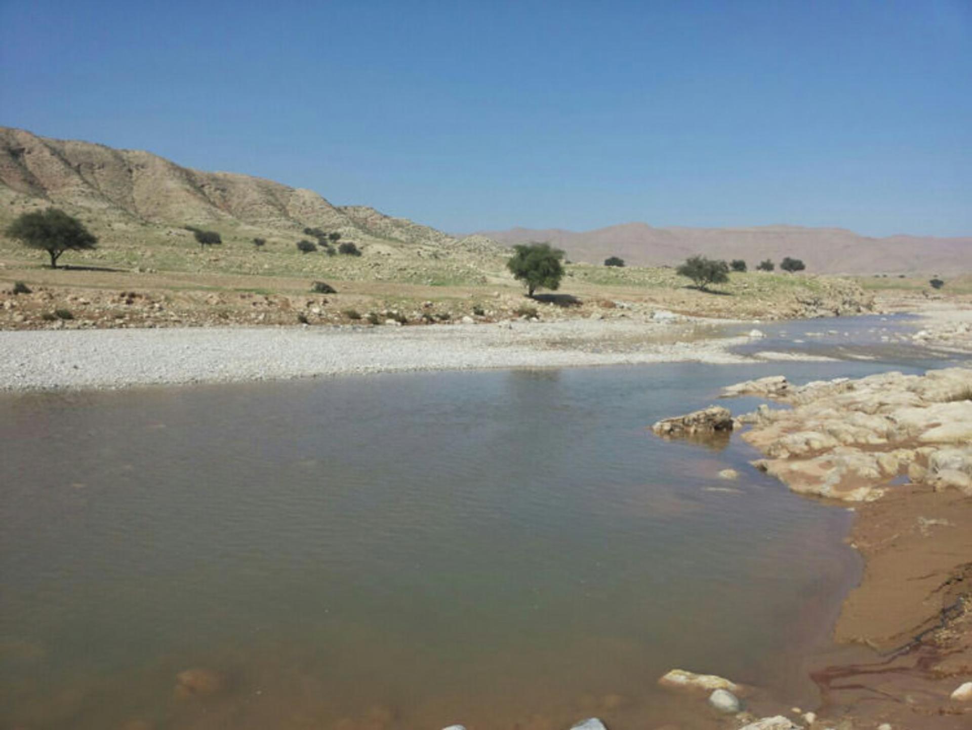 مسجد سلیمان