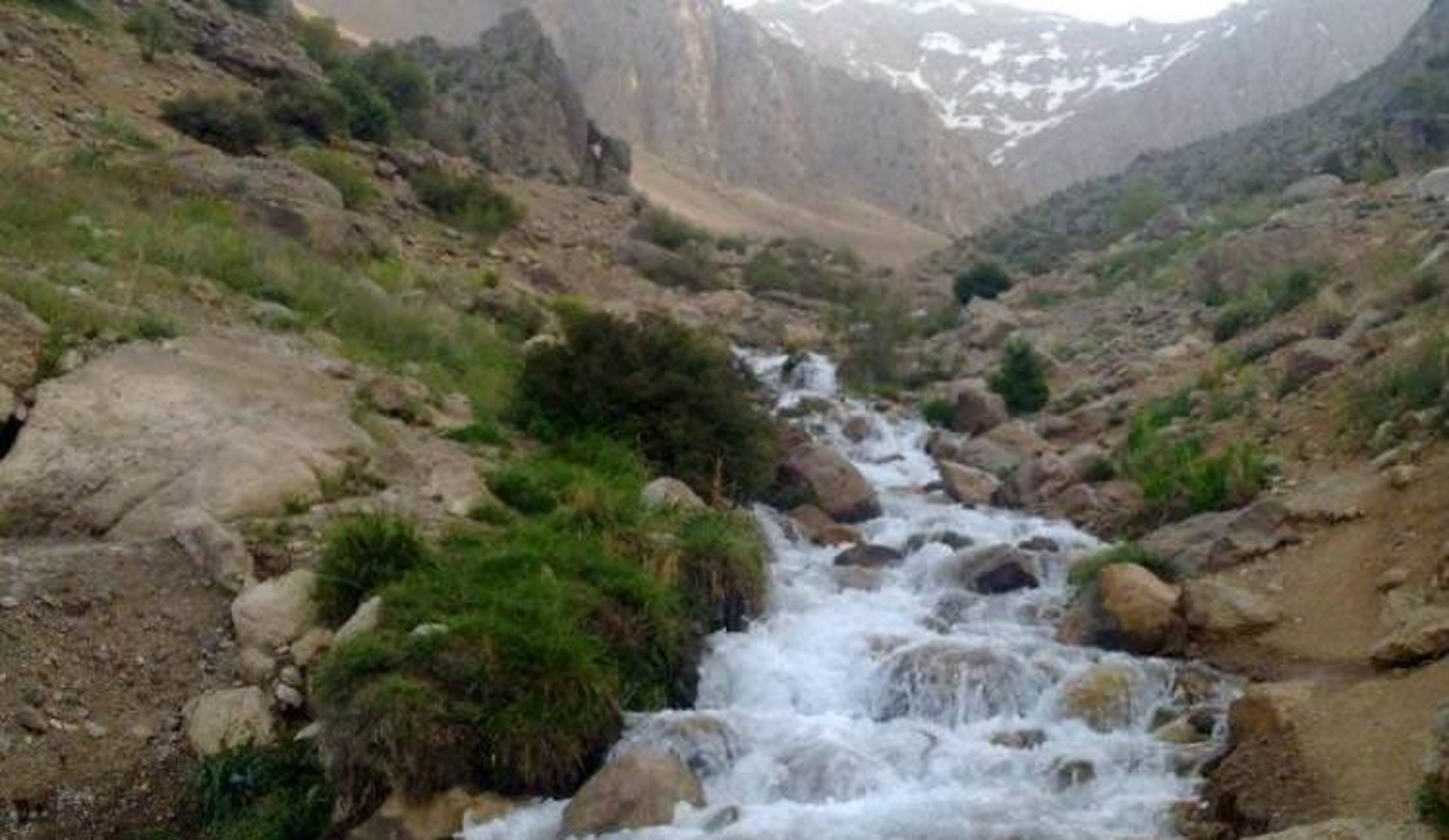 چشمه میشی