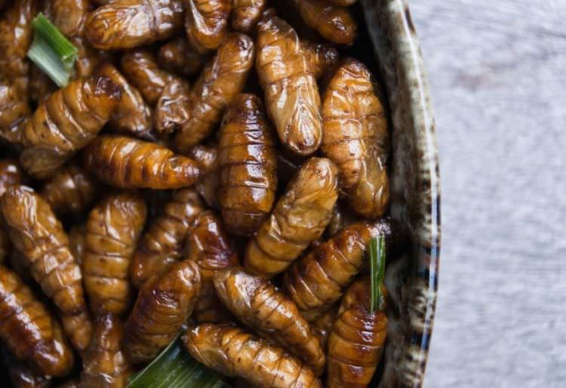 خوردن کرم ابریشم