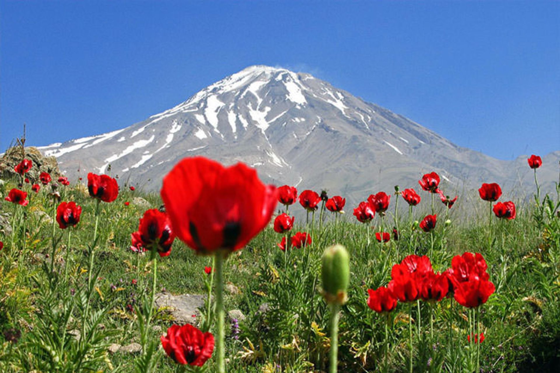 پارک ملی لار