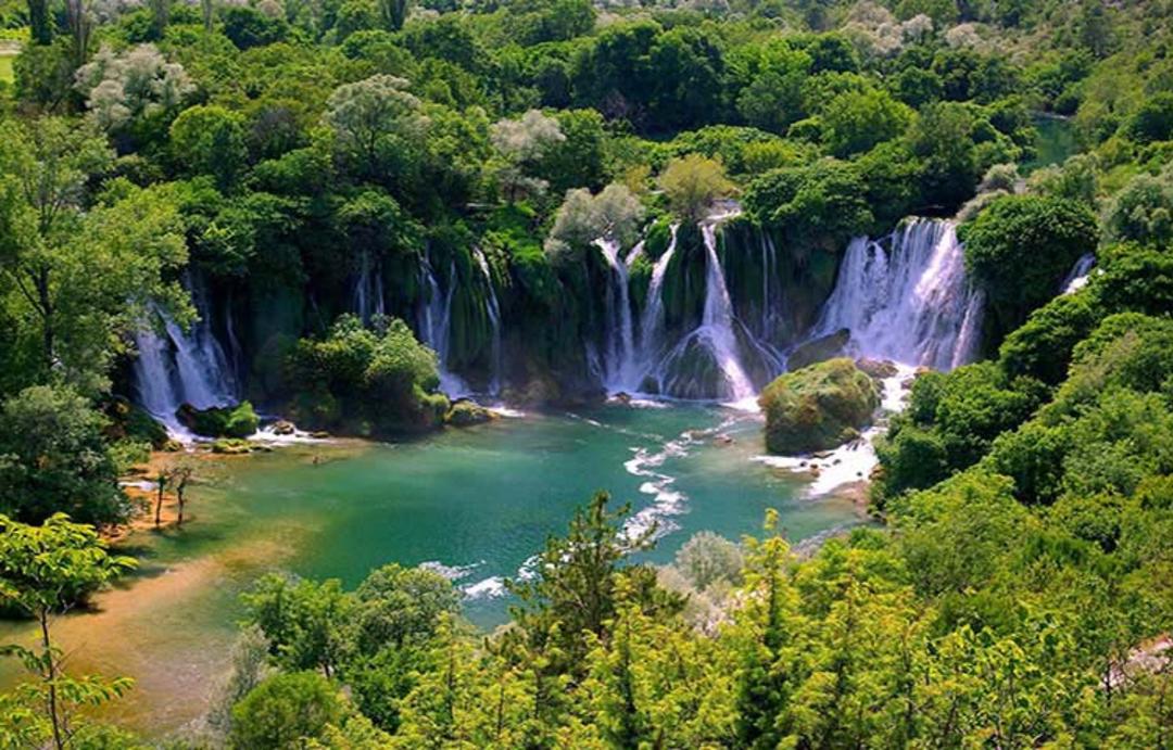 پارک جنگلی ویریناکی