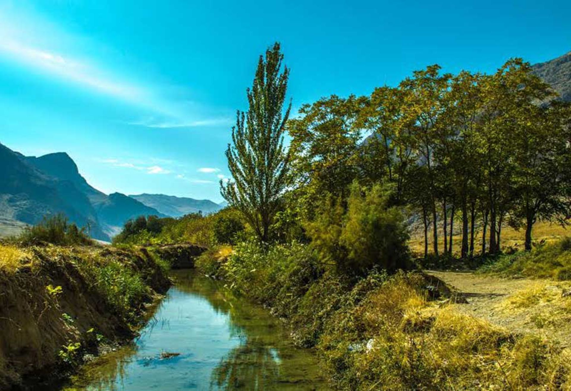عکاسباشی