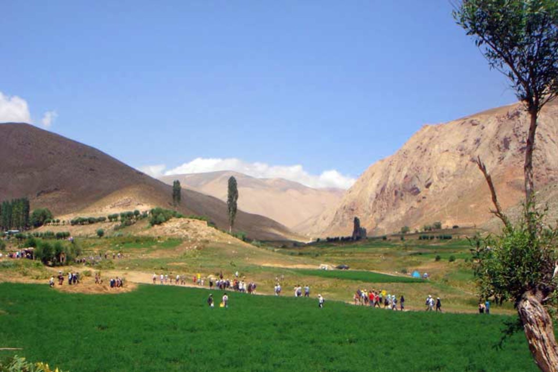 تنگه واشی