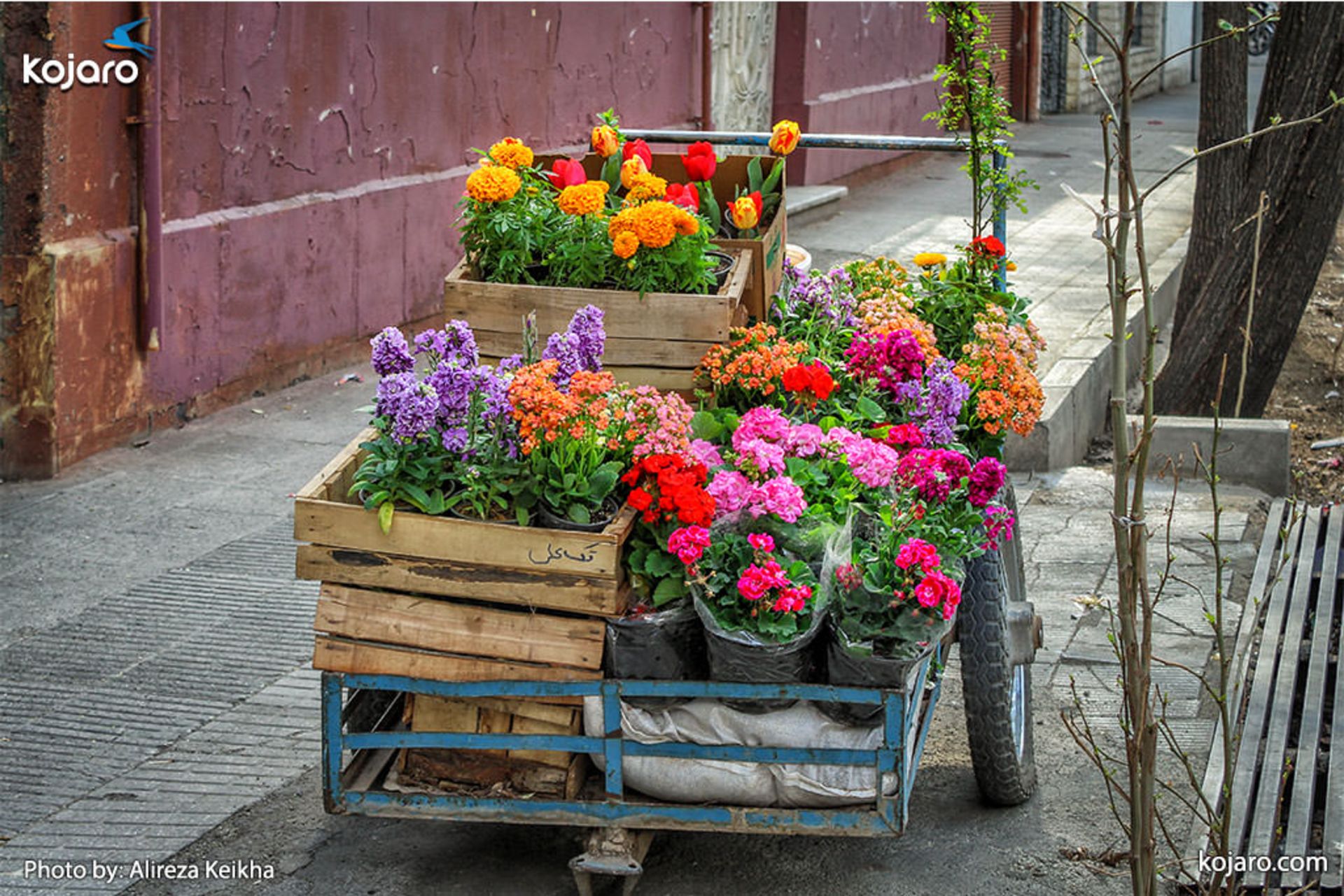 travelling-around-tehran