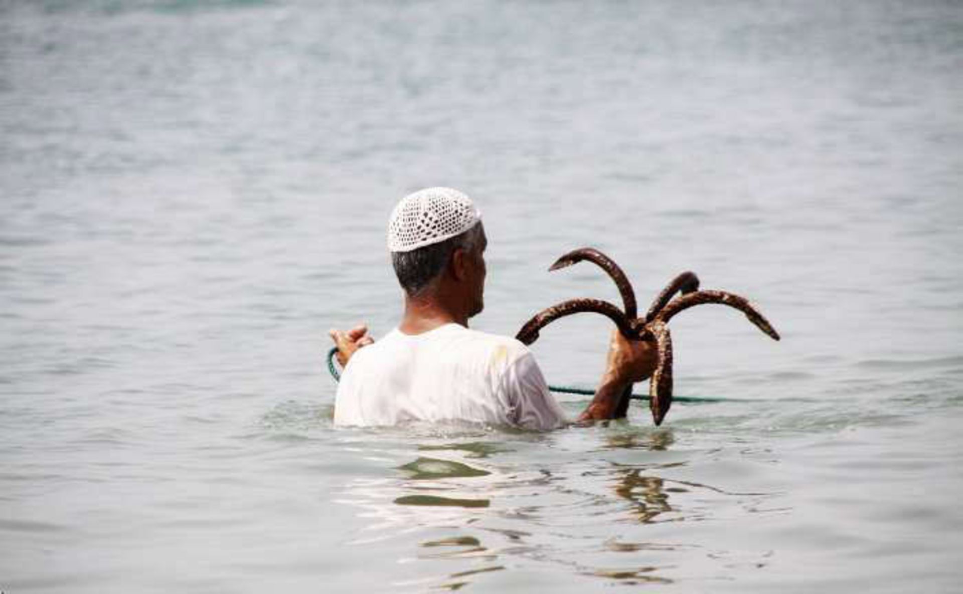نوروز صیادی