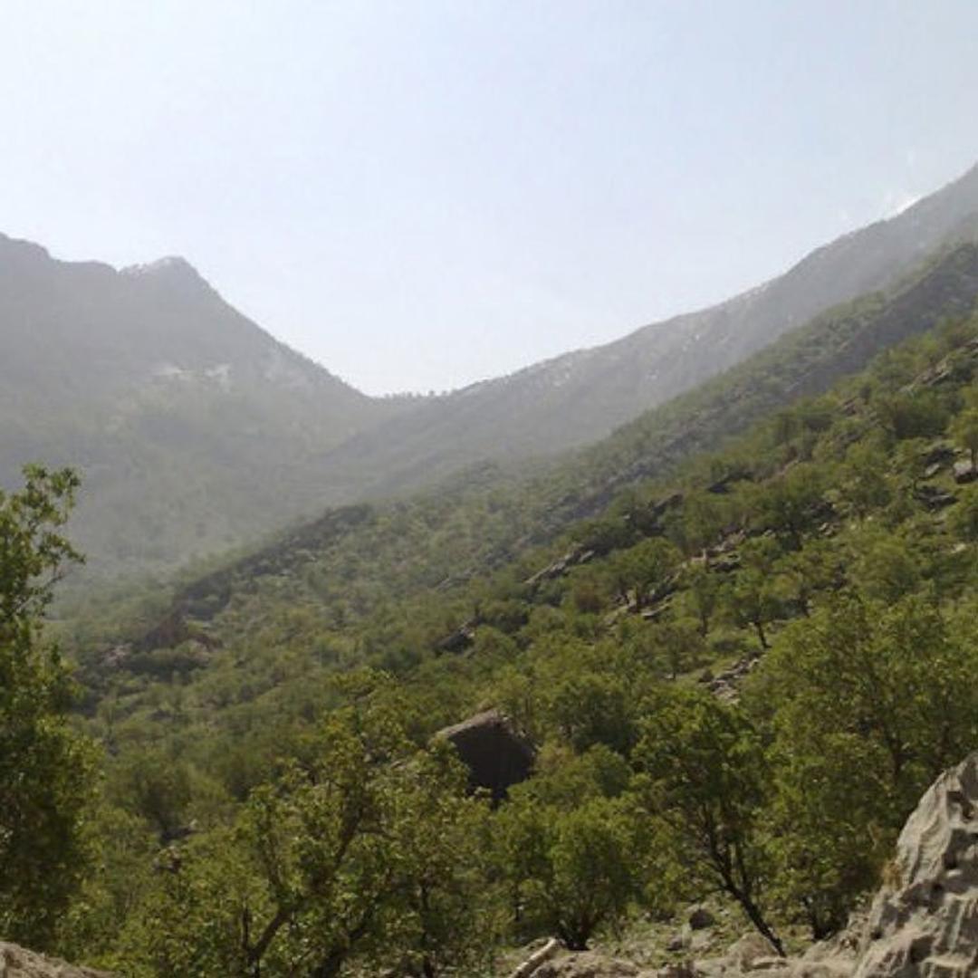 گچساران