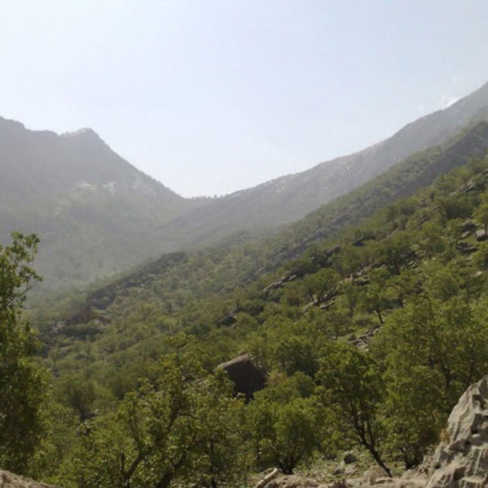 گچساران