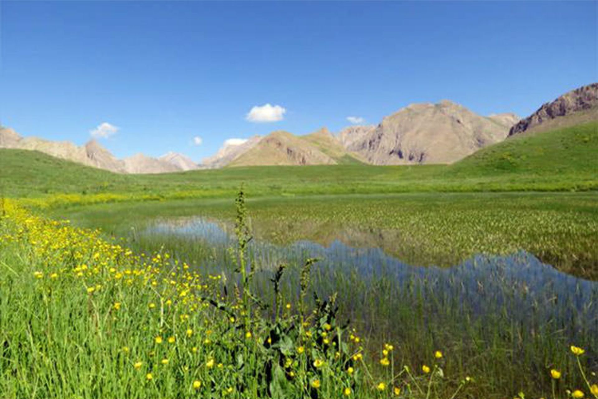 پارک ملی لار