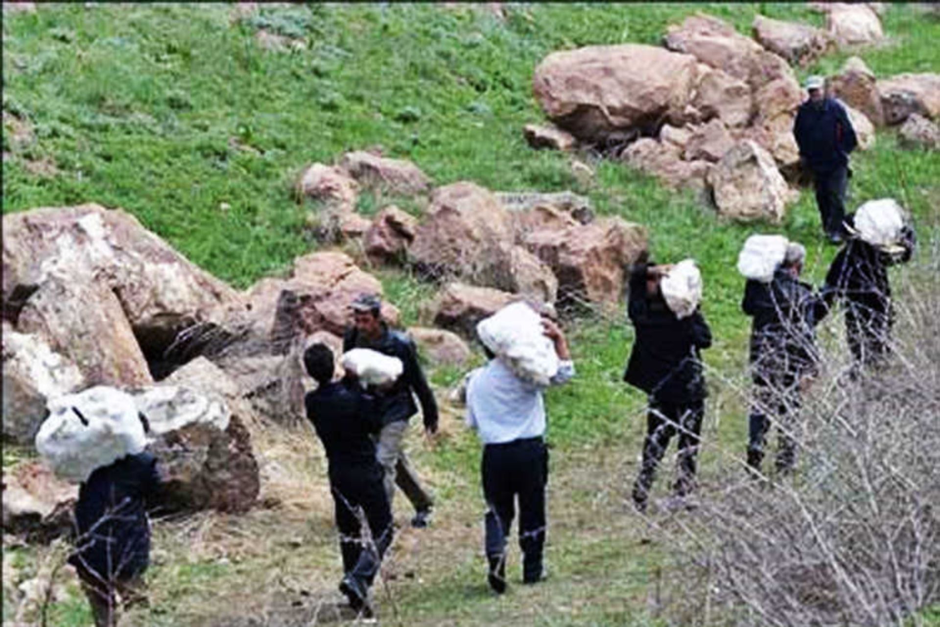 جشن حکومت زنان در افوس