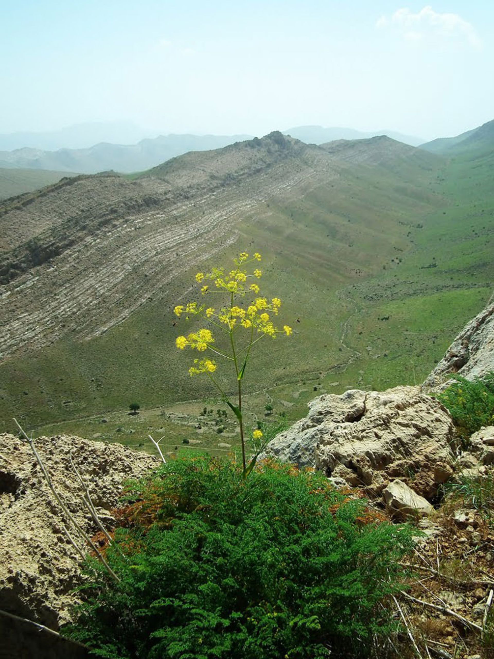 پارک ملی بمبو