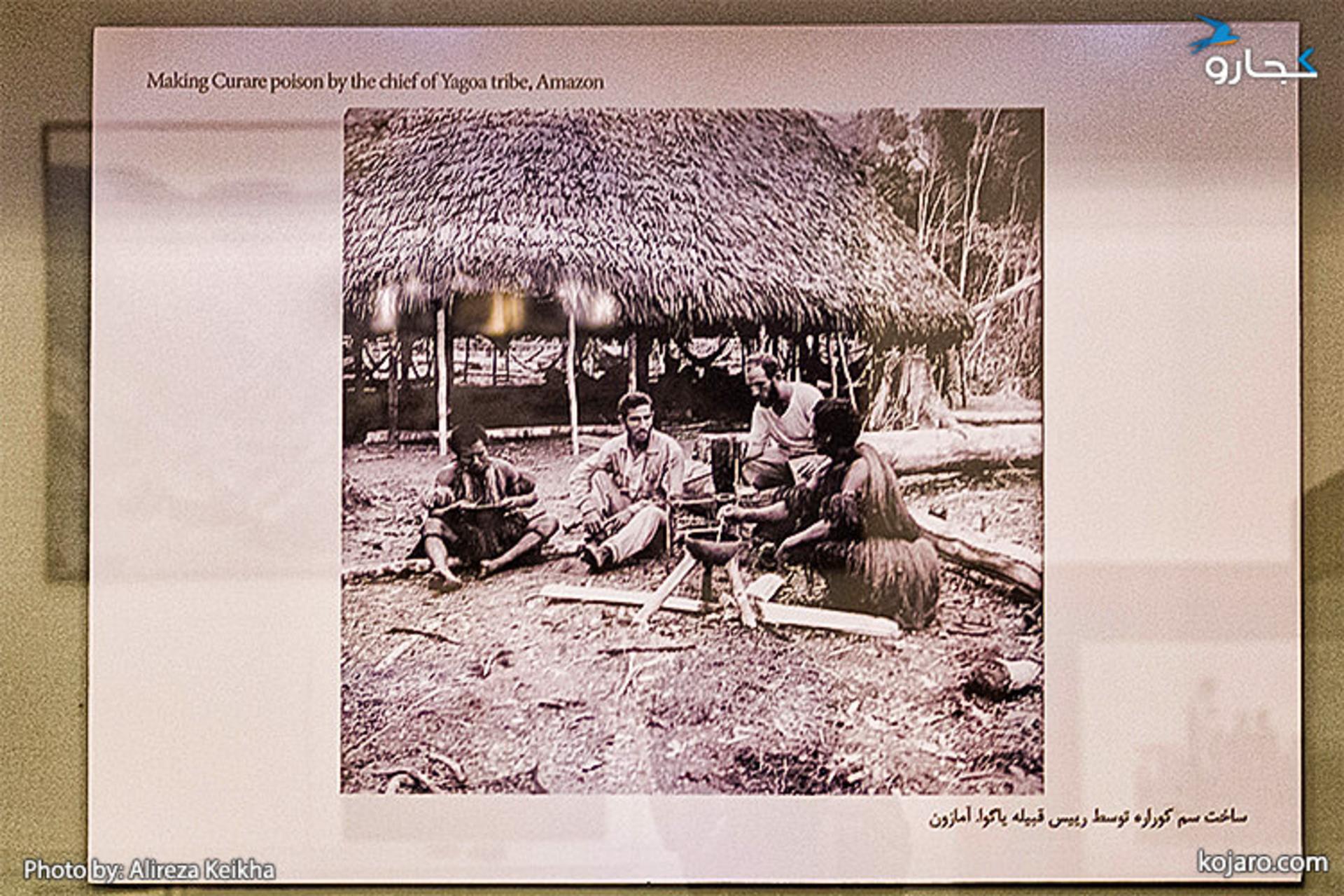 ساخت سم کوراره توسط رییس قبیله یاگوا، آفریقا