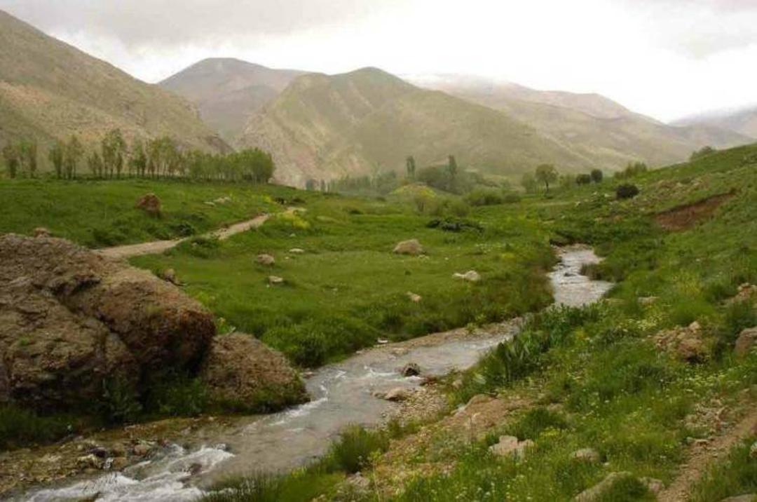 تنگه واشی
