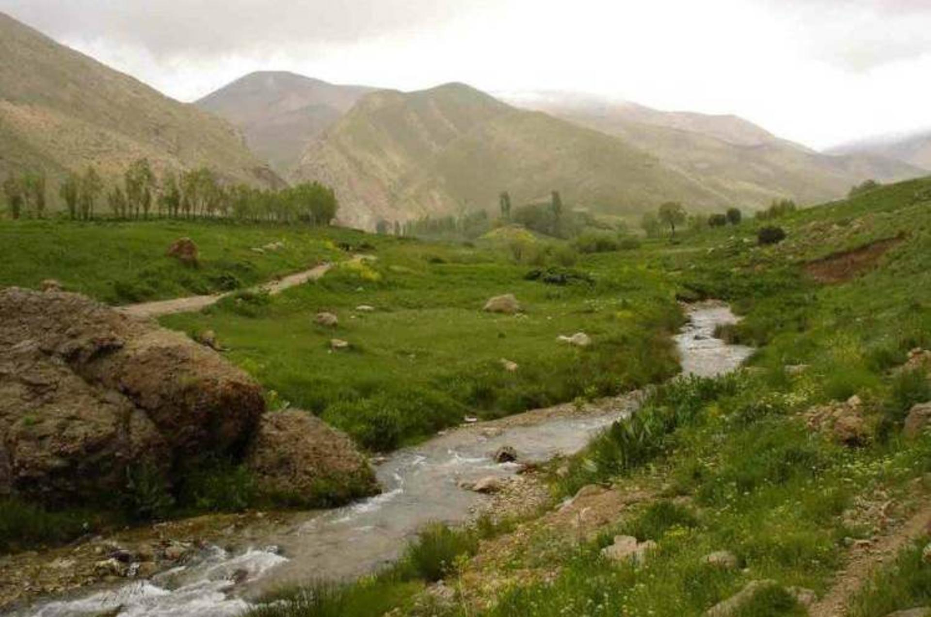تنگه واشی