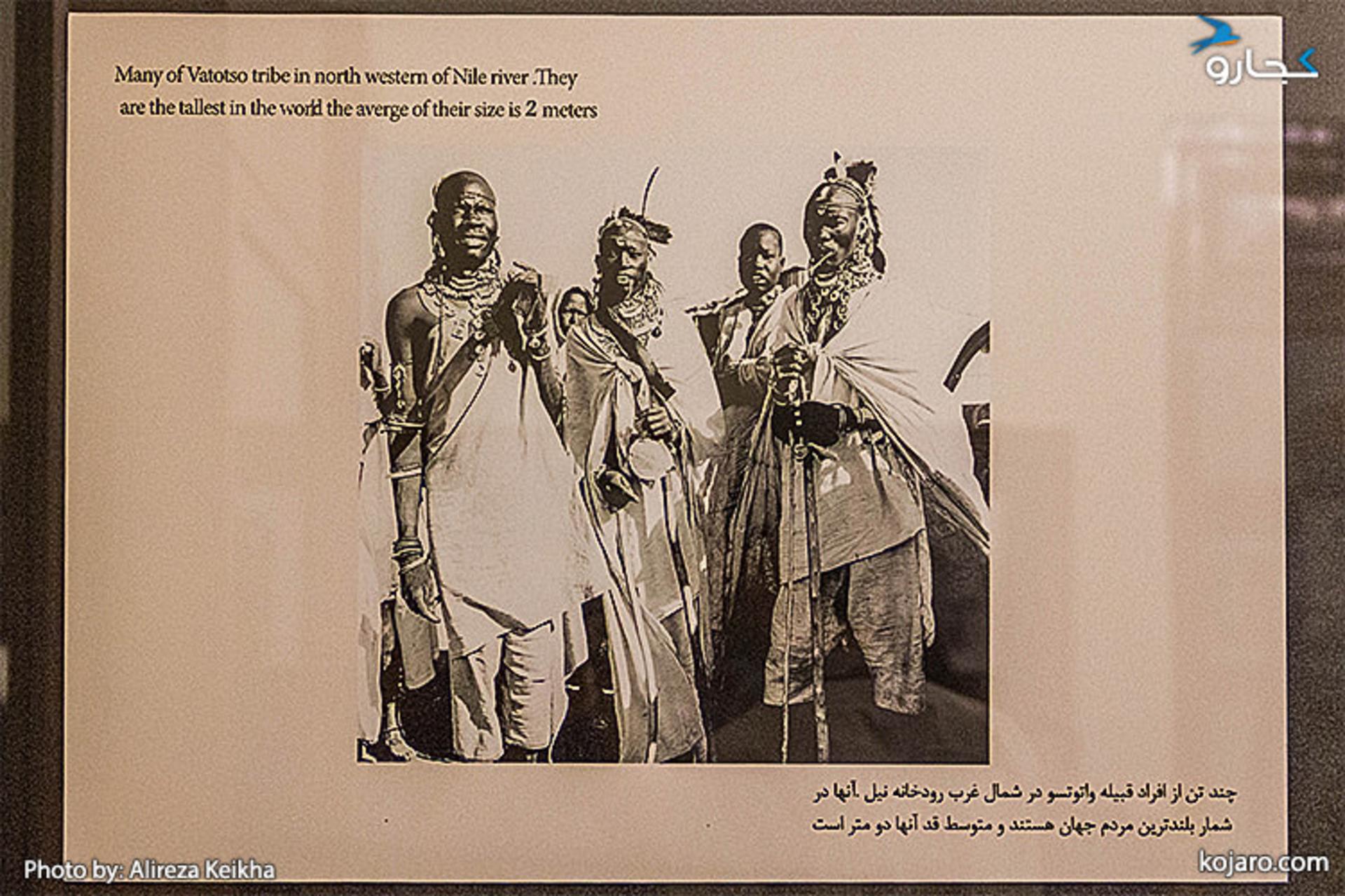 چند تن از افراد قبیله واتوتسو در شمال غرب رودخانه نیل. آنها بلندترین مردم جهان هستند و متوسط قد آنها ۲ متر است.