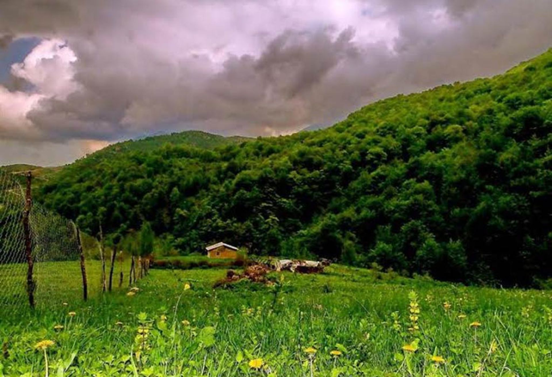 گرزین