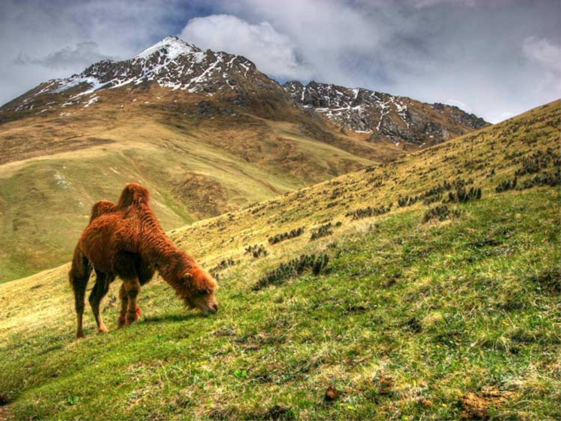 قرقیزستان