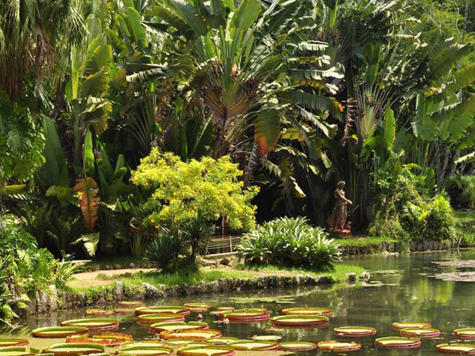 jardim