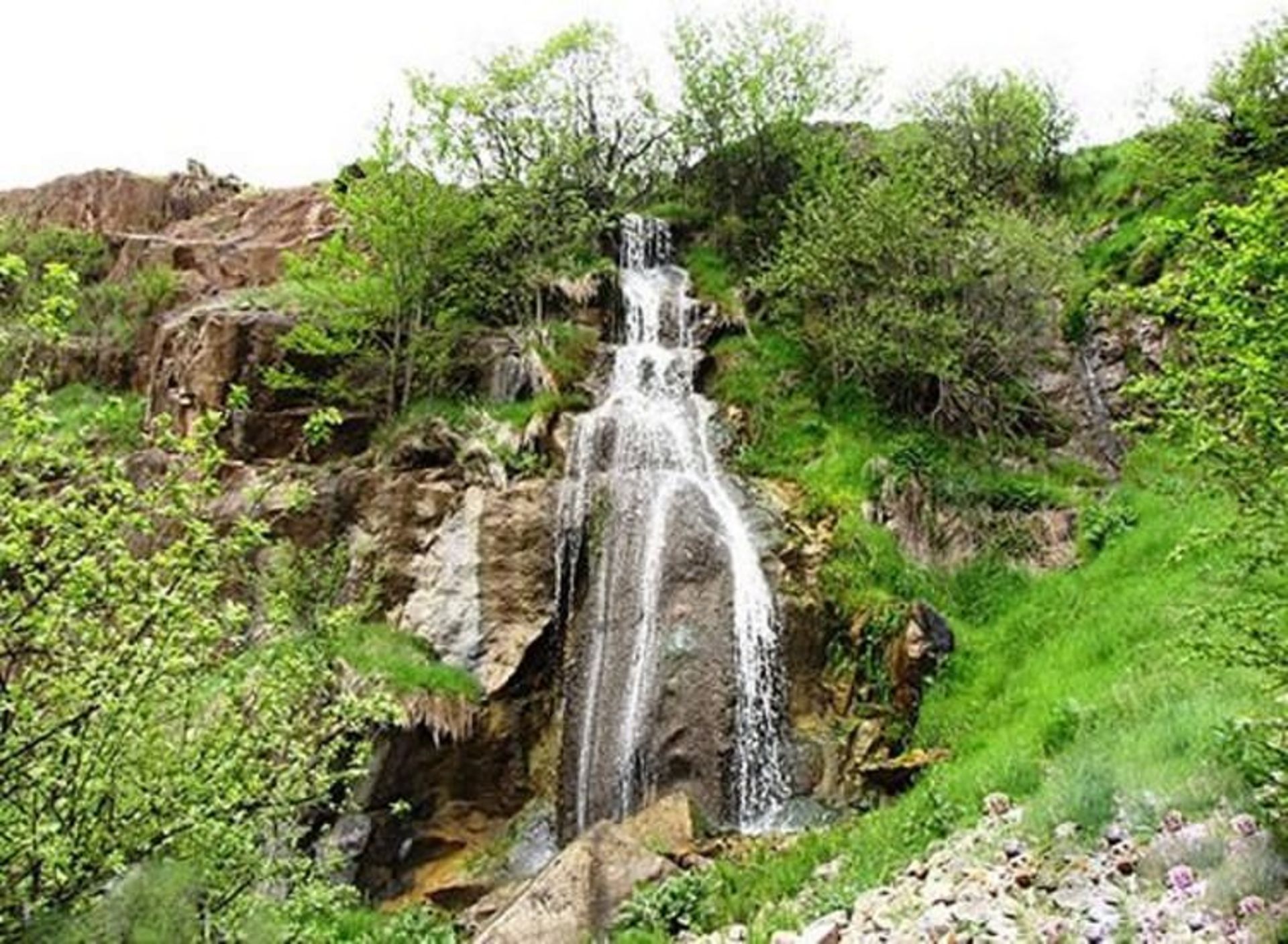 هریجان