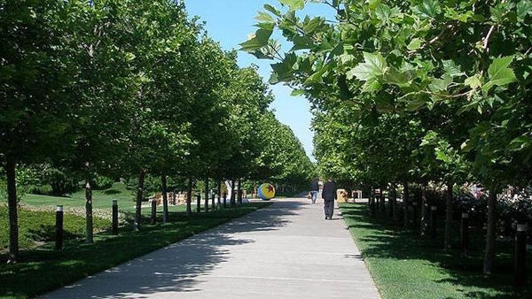 pixar animation studios