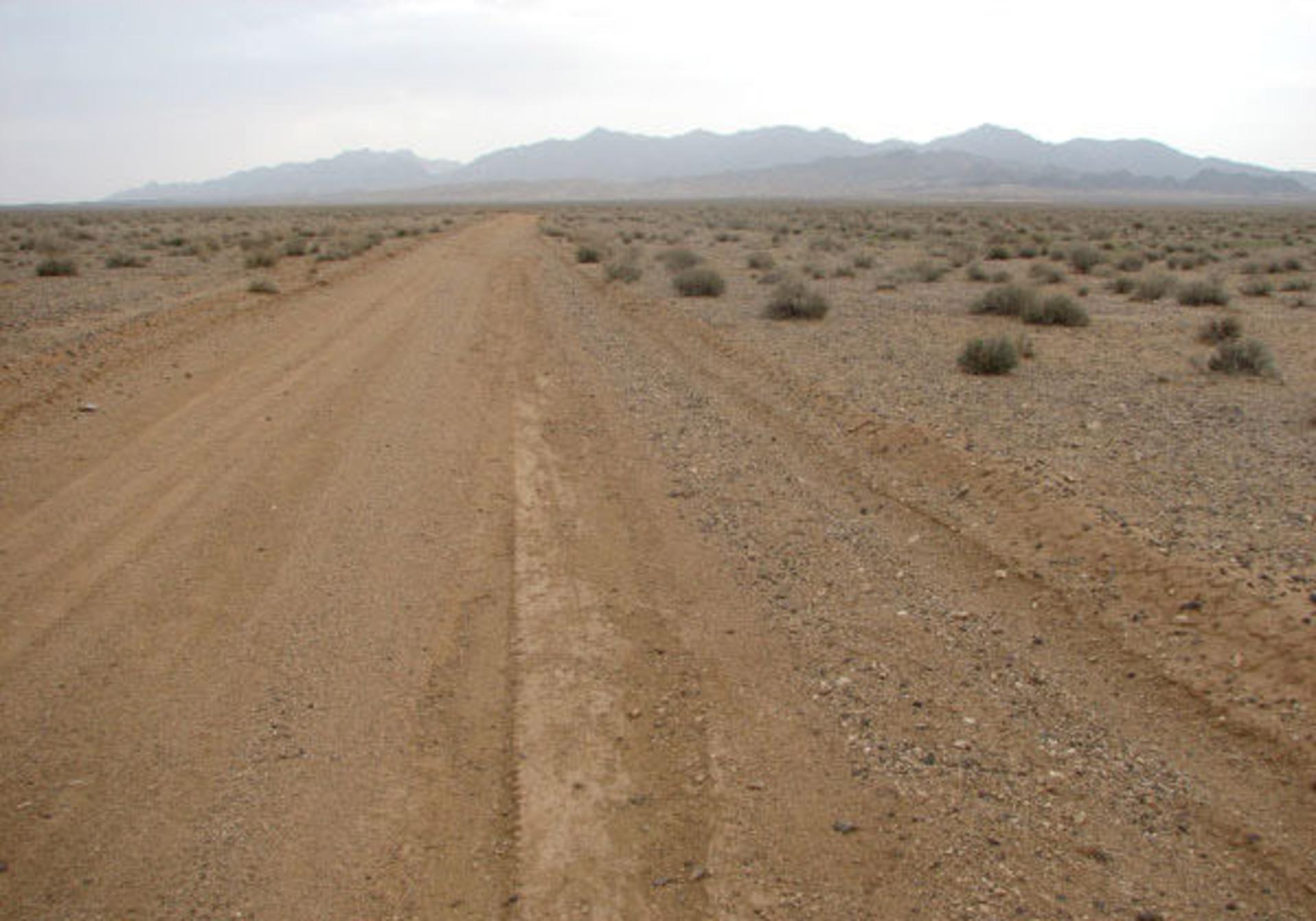 پارک ملی کویر