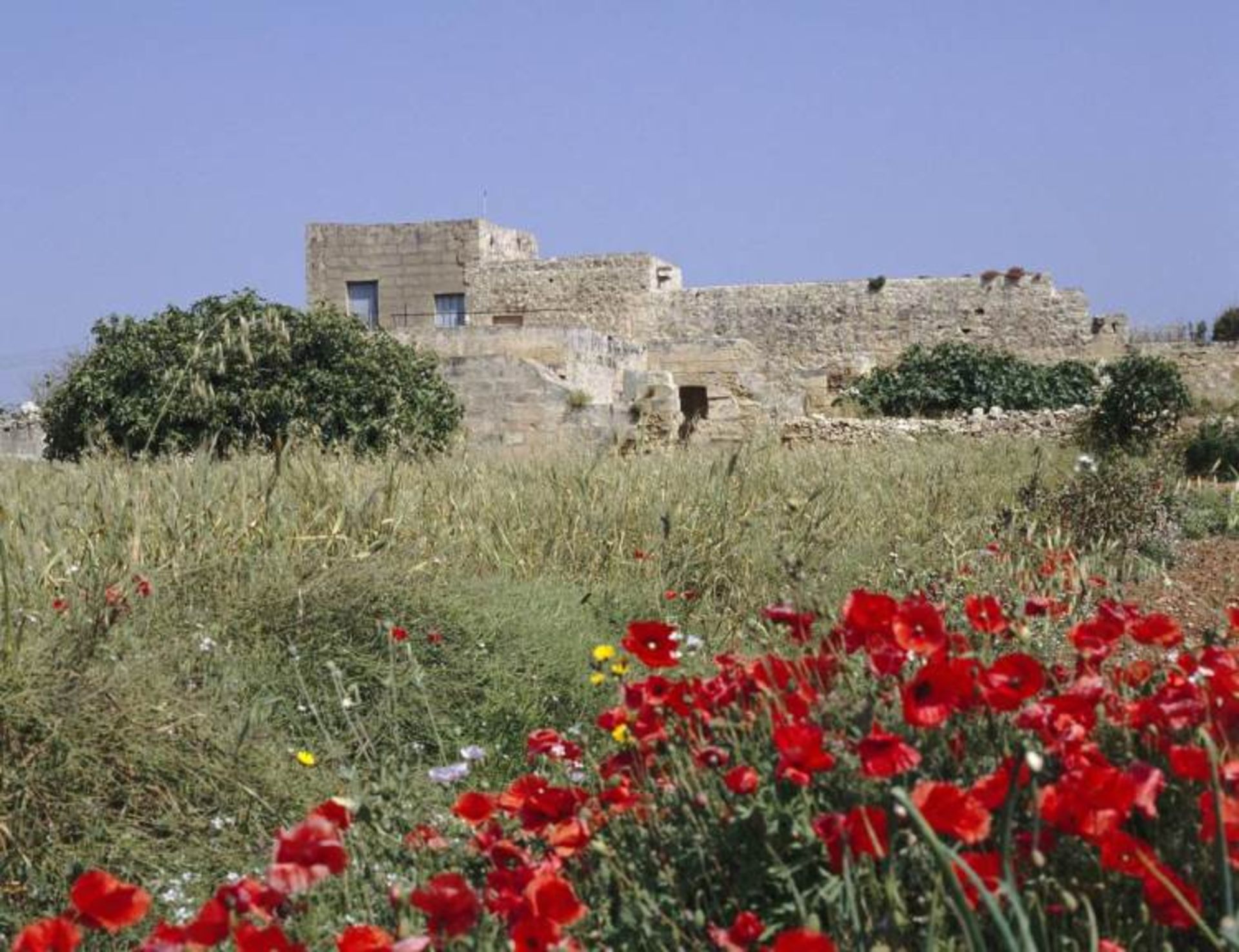 مالت