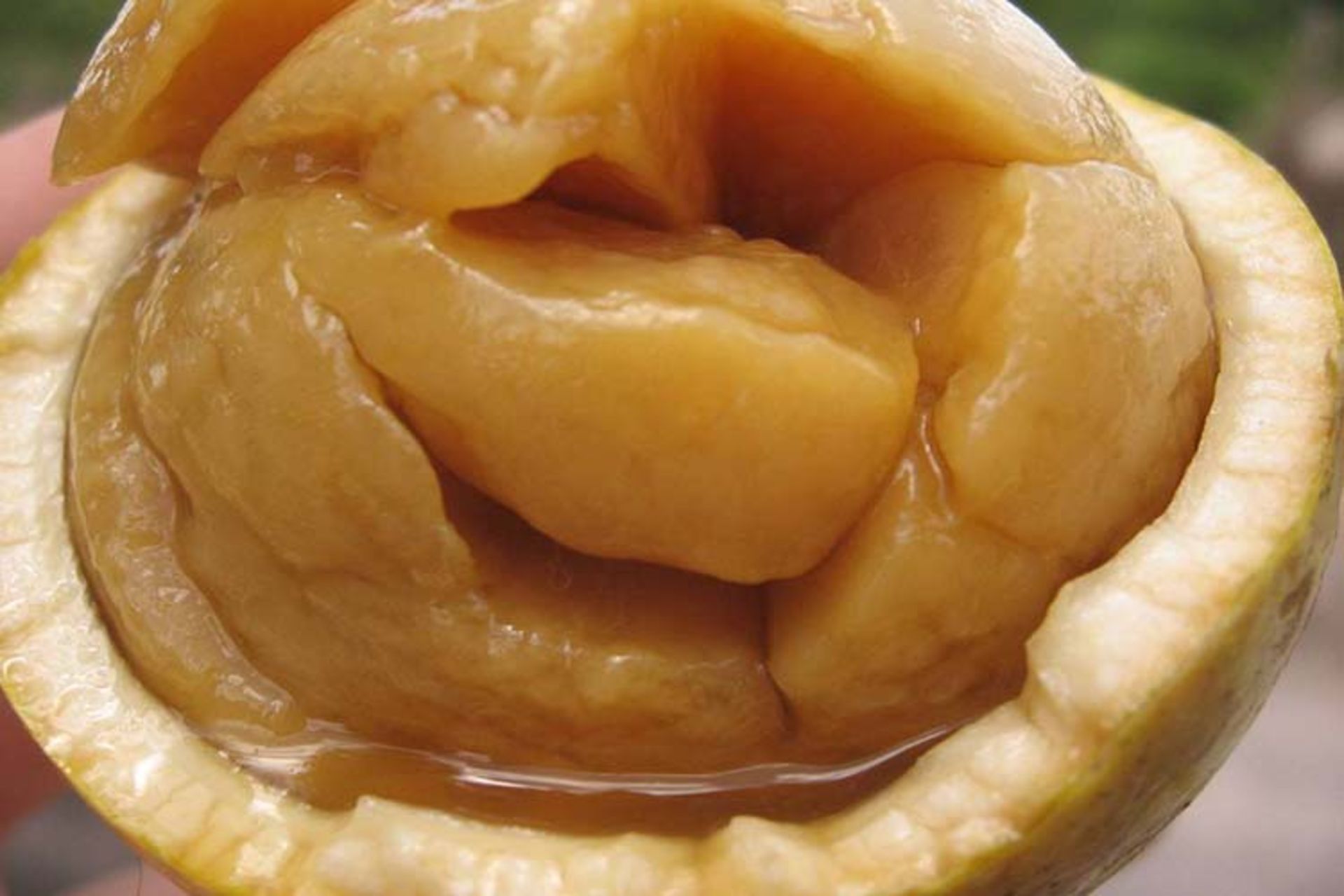 میوه