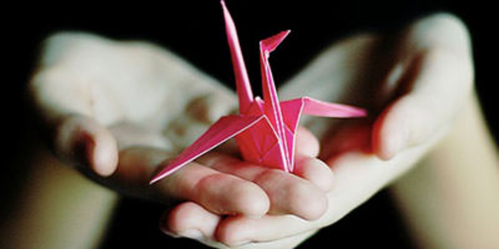 درنای کاغذی