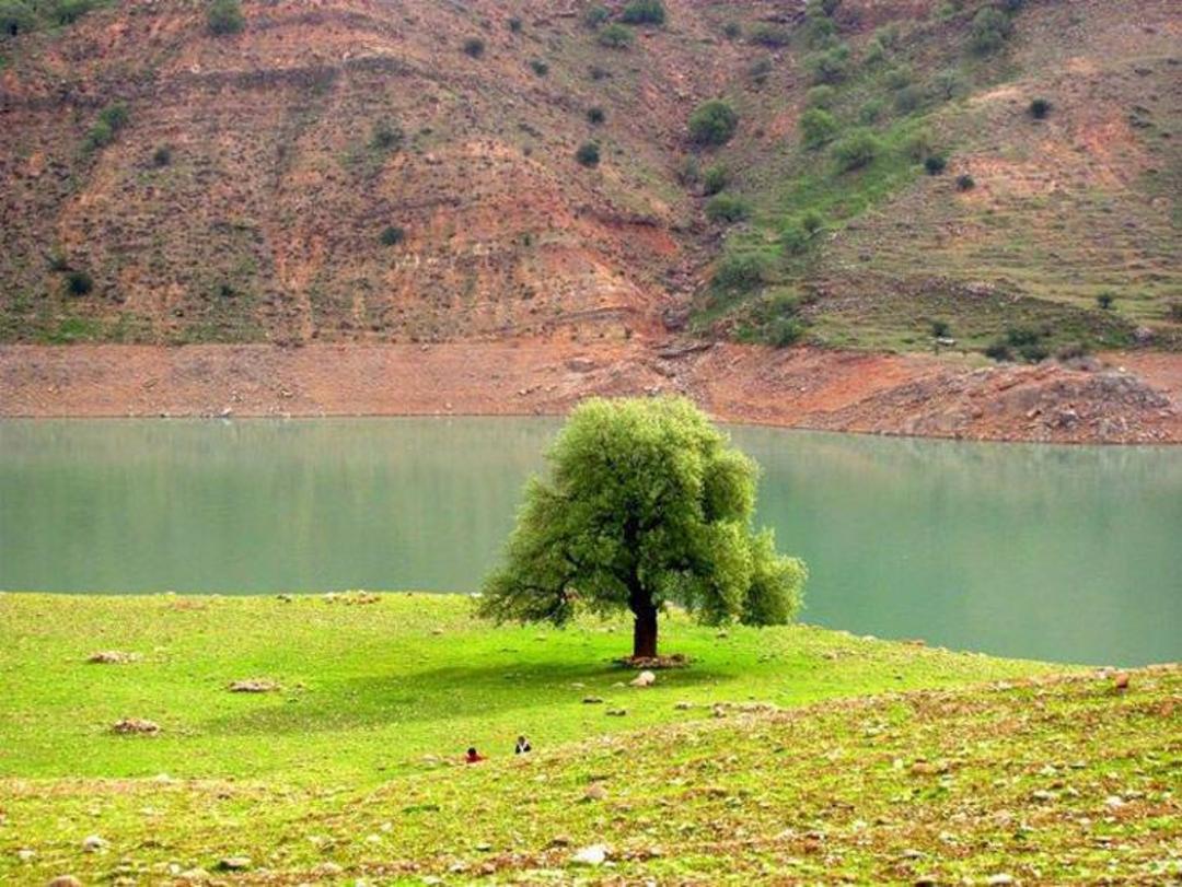 مسجد سلیمان