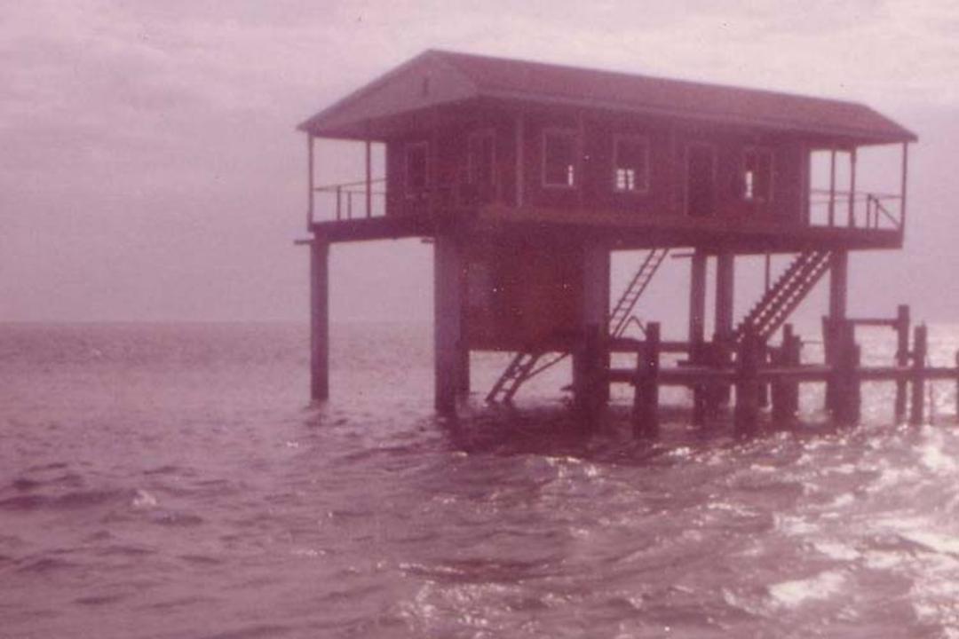 استیلتزویل