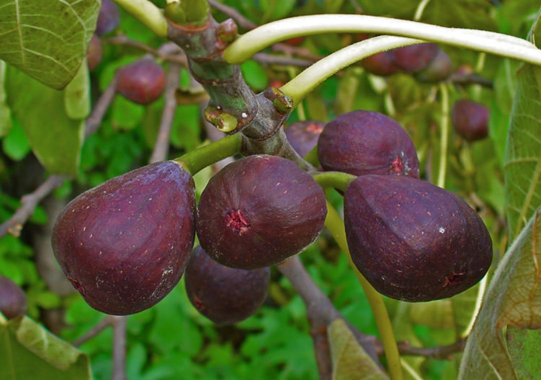 2016-7-e761bab7-ec3b-470a-aede-a498f90c696b