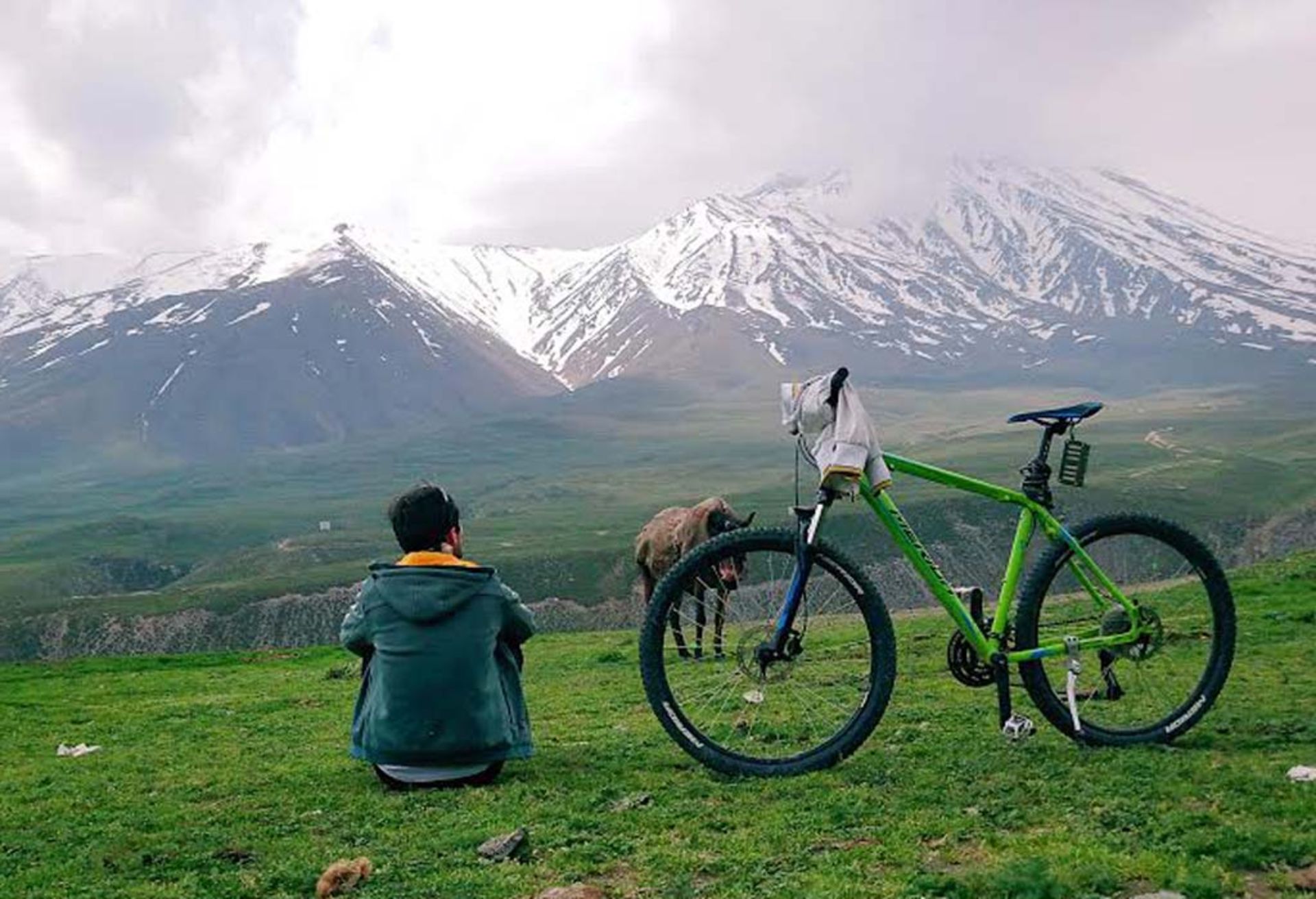 عکاسباشی