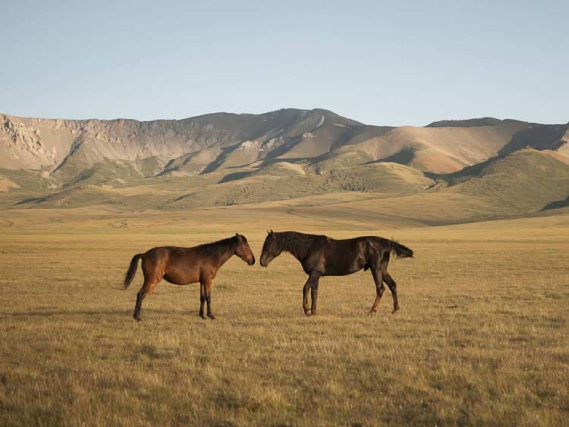 قرقیزستان